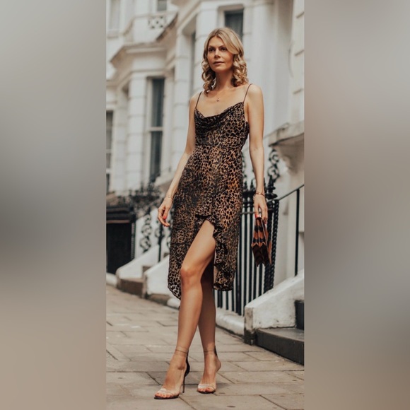 MISHA COLLECTION - EMILIA LEOPARD DRESS - Picture 6 of 8